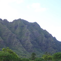 DCP_1379